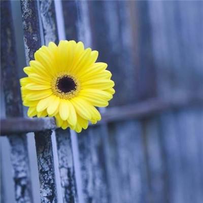 乐享8214CC官方下载