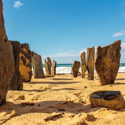 彩神下载手机版