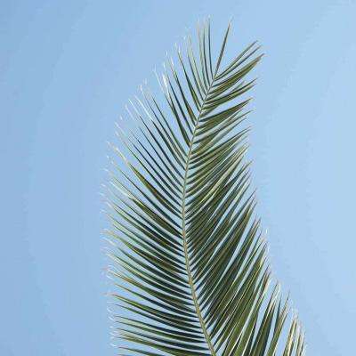 星空体育官方网站app下载