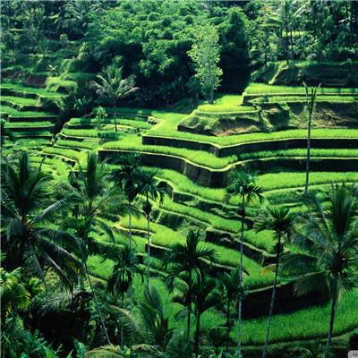 助赢软件手机app下载