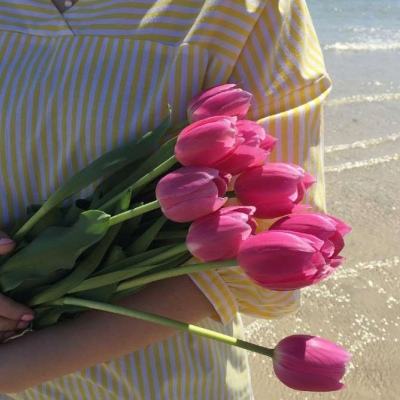 今期澳门三肖三码开一码下载手机版